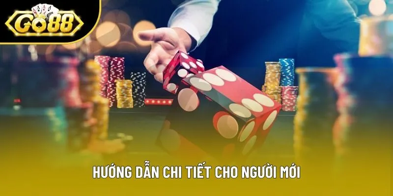 Hướng dẫn chi tiết cho người mới