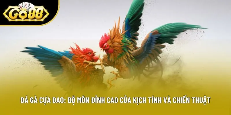 Đá Gà Cựa Dao: Bộ Môn Đỉnh Cao Của Kịch Tính Và Chiến Thuật