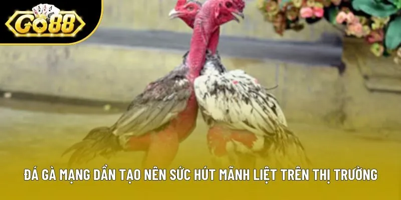 Đá gà mạng dần tạo nên sức hút mãnh liệt trên thị trường