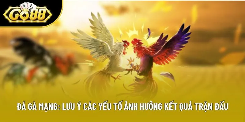 Đá Gà Mạng: Lưu Ý Các Yếu Tố Ảnh Hưởng Kết Quả Trận Đấu