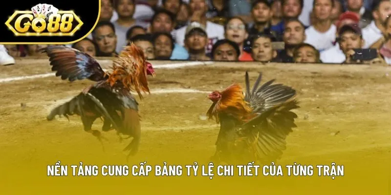Nền tảng cung cấp bảng tỷ lệ chi tiết của từng trận