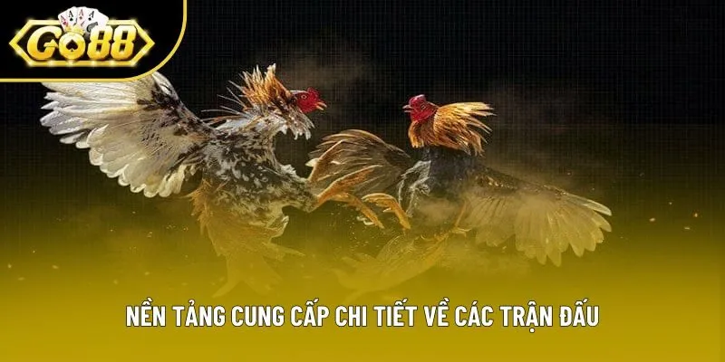 Nền tảng cung cấp chi tiết về các trận đấu