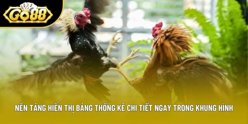 Nền tảng hiển thị bảng thống kê chi tiết ngay trong khung hình Nền tảng hiển thị bảng thống kê chi tiết ngay trong khung hình