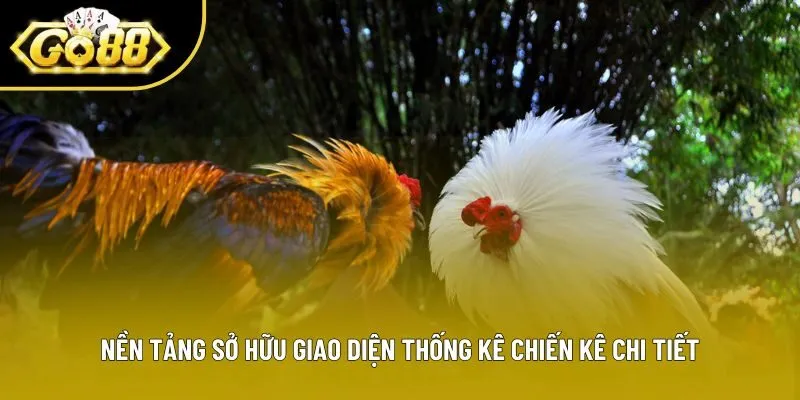 Nền tảng sở hữu giao diện thống kê chiến kê chi tiết