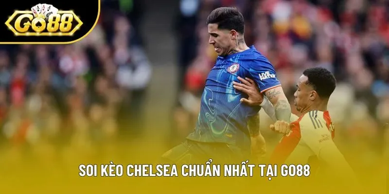 Soi kèo Chelsea chuẩn nhất tại Go88