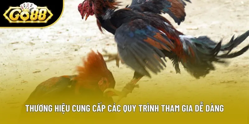 Thương hiệu cung cấp các quy trình tham gia dễ dàng